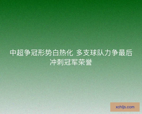 中超争冠形势白热化 多支球队力争最后冲刺冠军荣誉
